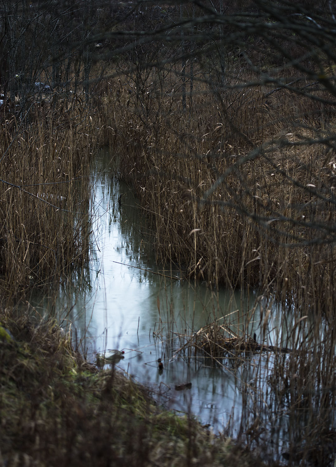 Ulf Lundin, Monumentet / The Monument (13), 2018