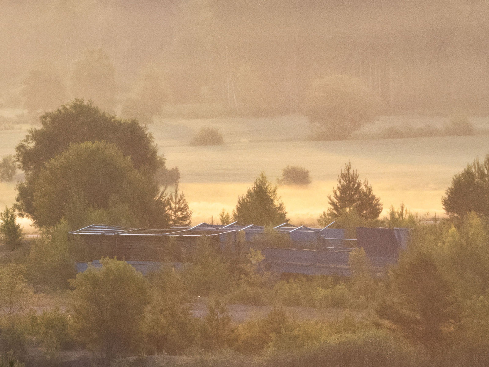 Ulf Lundin, Hawaiihôla (June 26, 2020), 2023