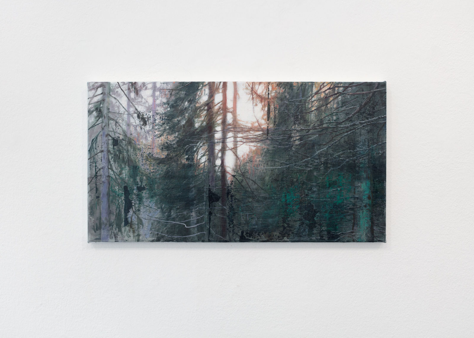 Tommy Hilding, Mellan granar / Between Pines, 2025