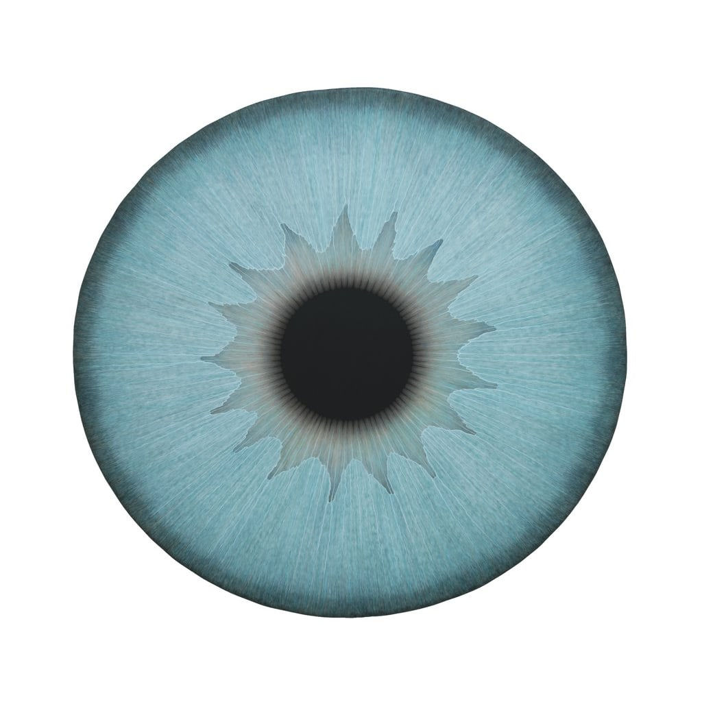 Ulla Wiggen, Iris XX Daniel, 2021