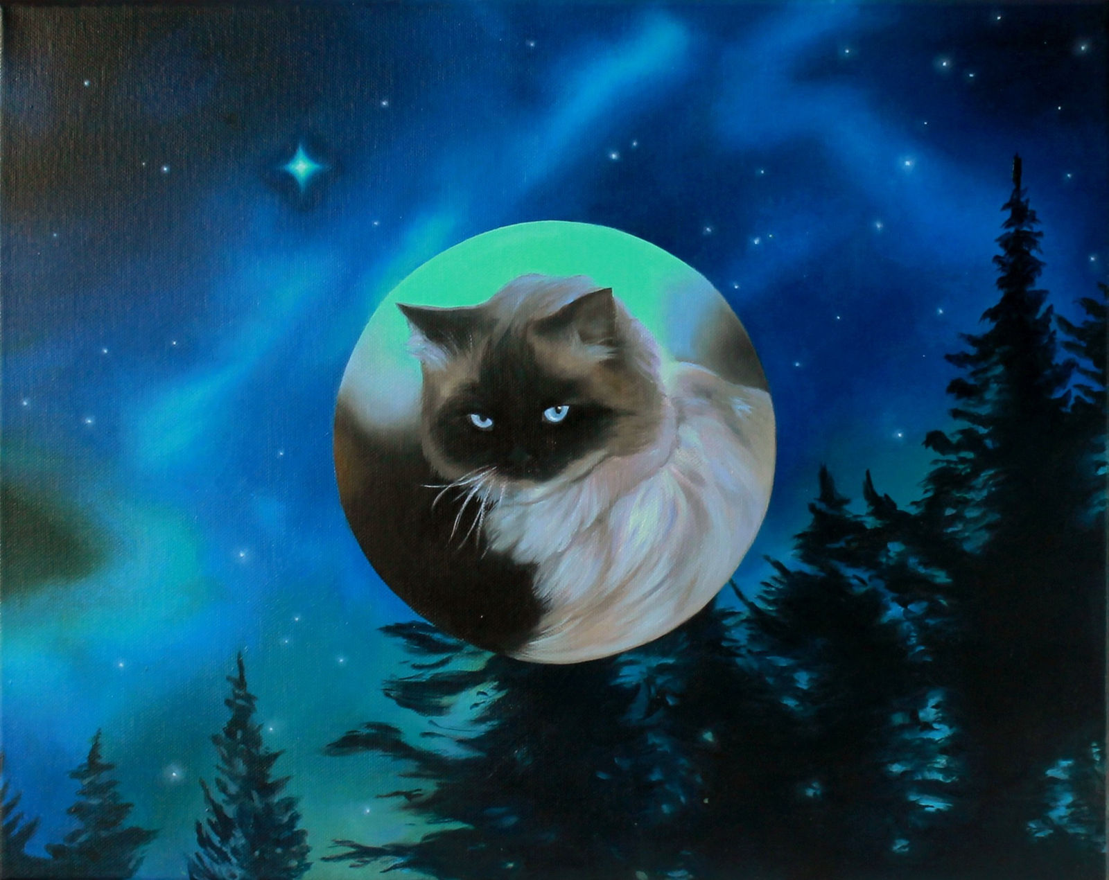 Alexis Jang, Judgemental Cat, 2022