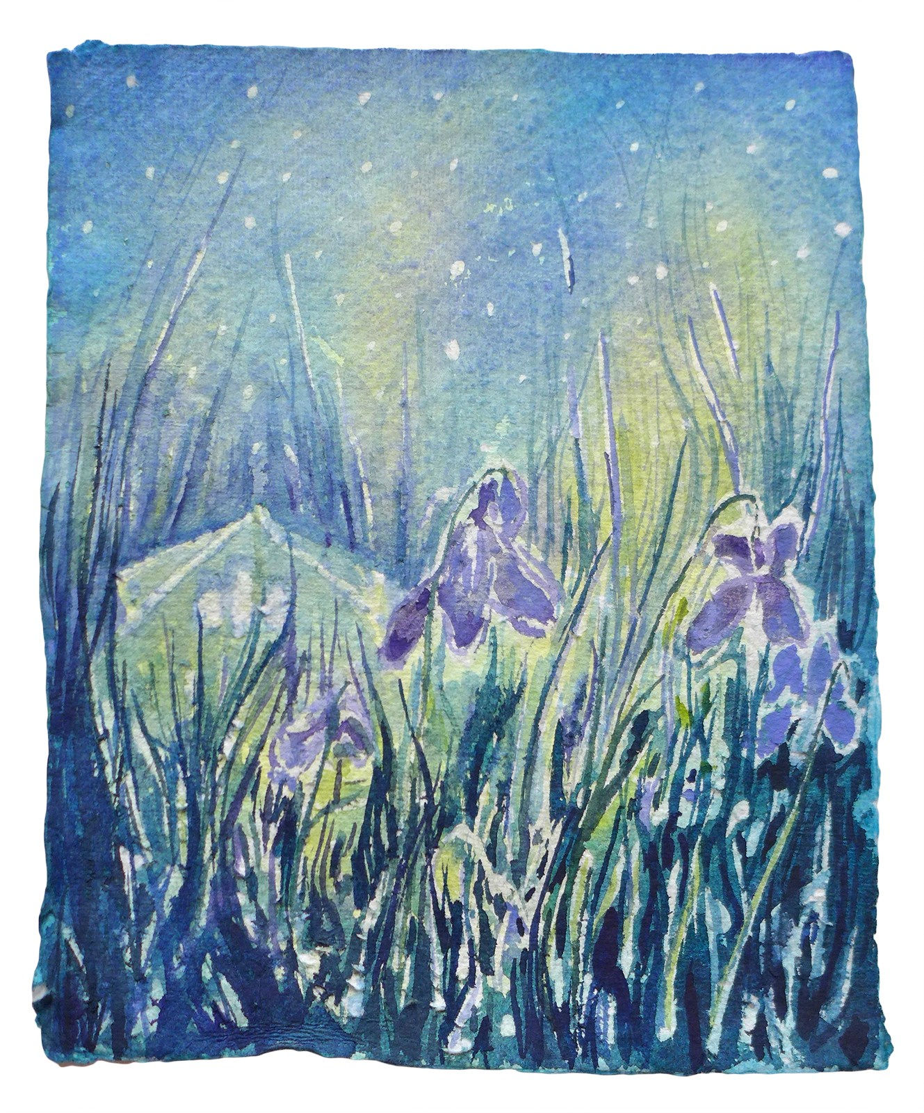 Raquel P Miller, Picking violets with Esper on a Flower Moon, 2024