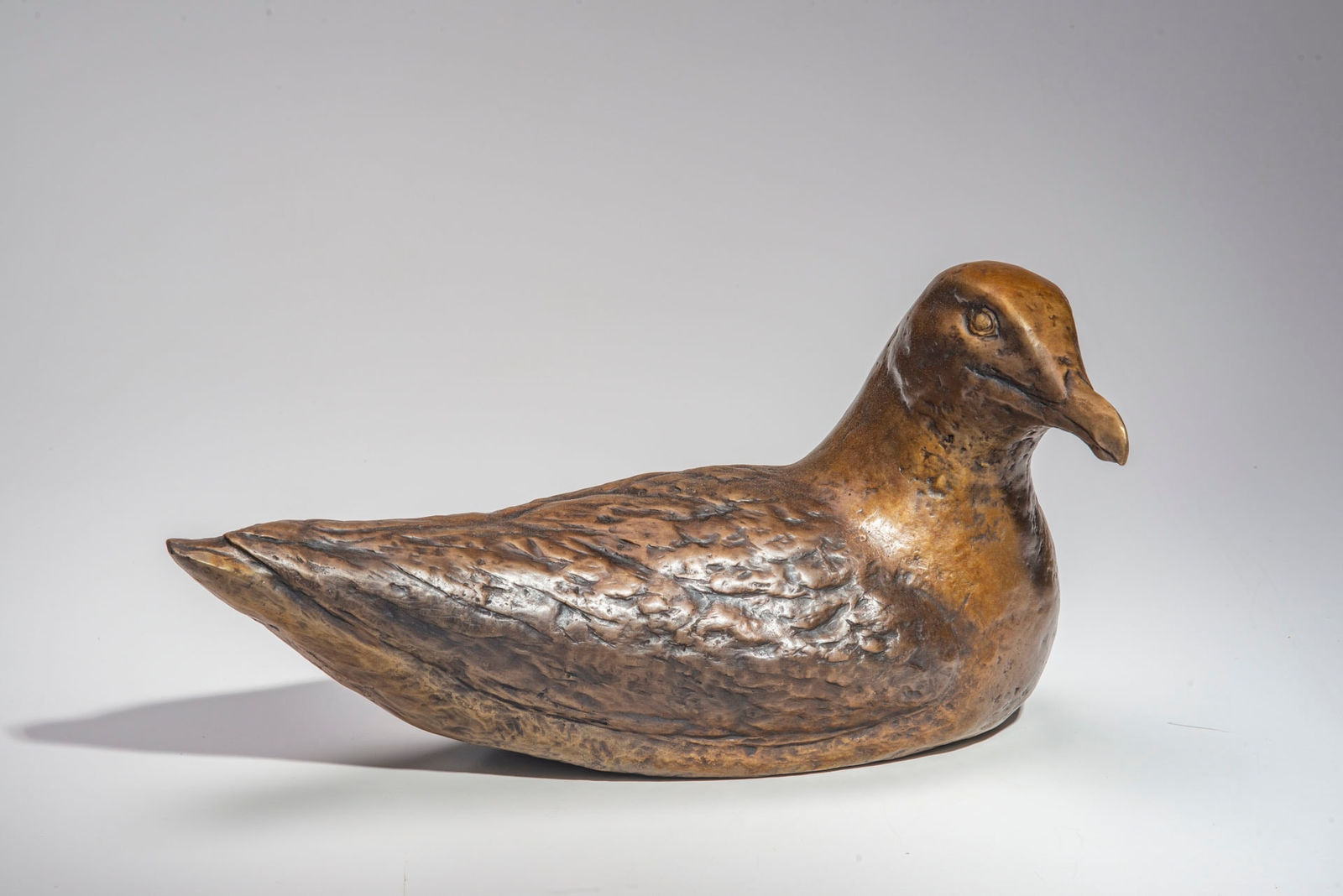 Rebekah Raye, Waiting Gull, 2023