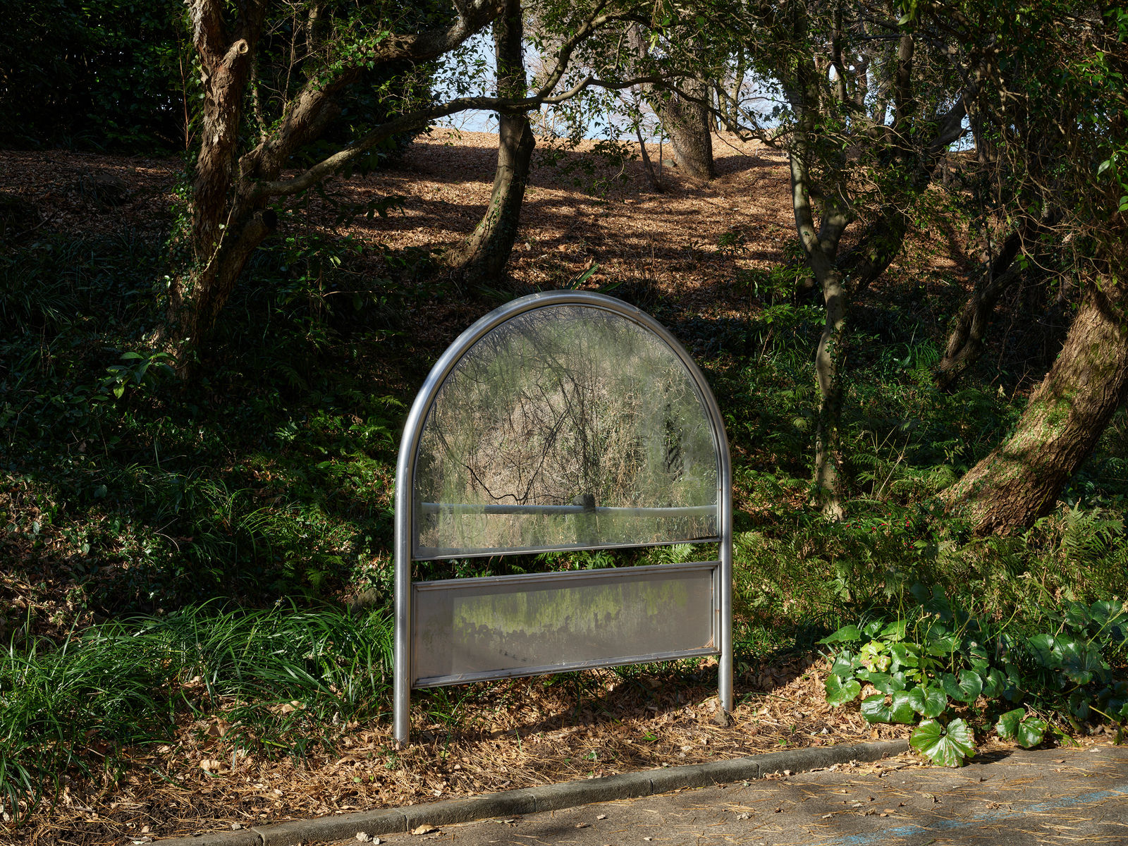 Heeseung Chung, Untitled from the series Faraway, so close, 2025