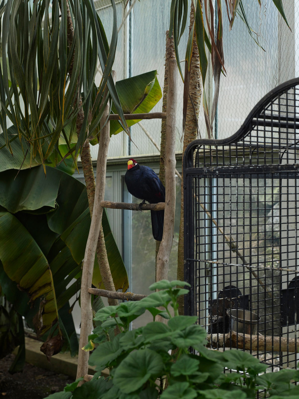 Heeseung Chung, Untitled from the series Faraway, so close, 2025