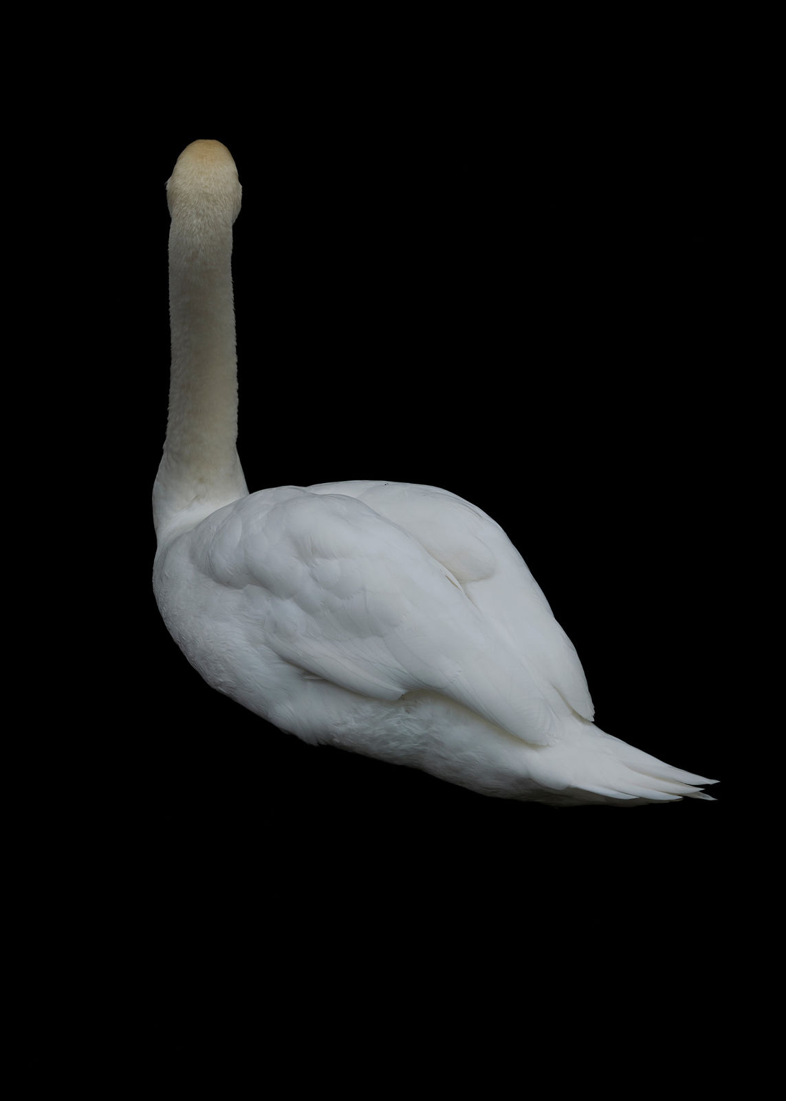 Heeseung Chung, Untitled from the series, Faraway, so close , 2025