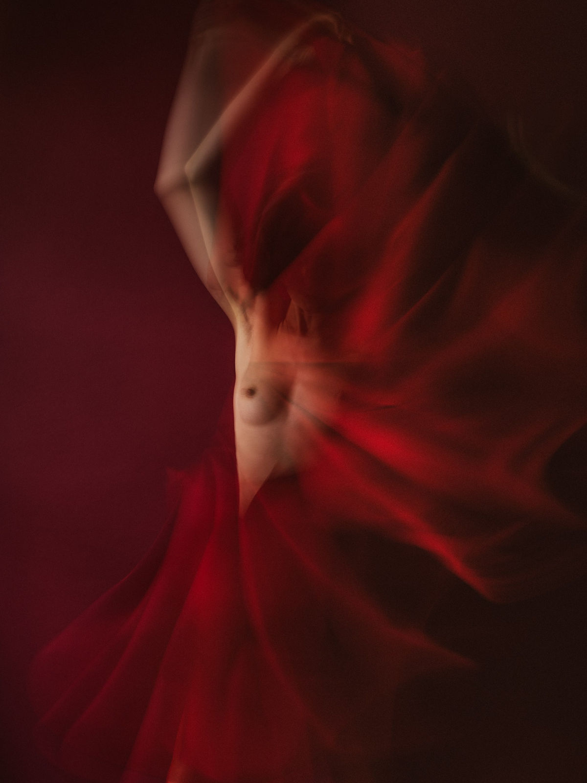 Xenia Fuentes, Red V, 2024