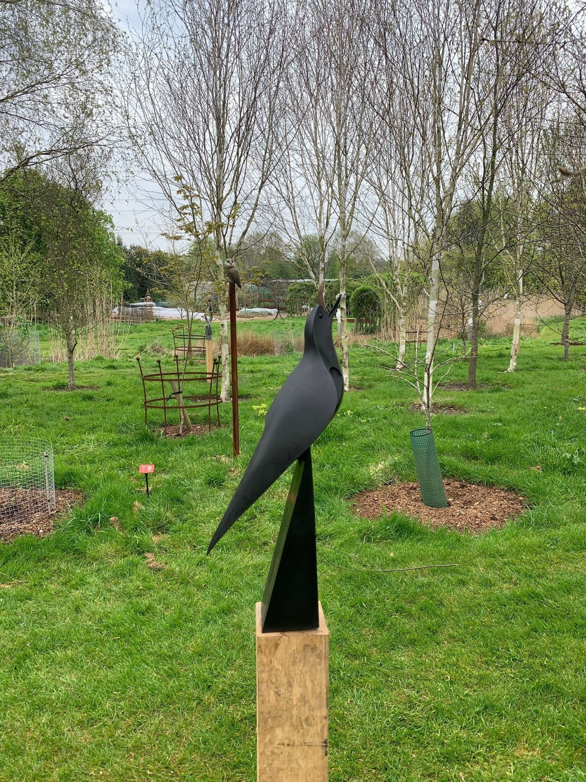 Paul Harvey, Blackbird Singing , 2024