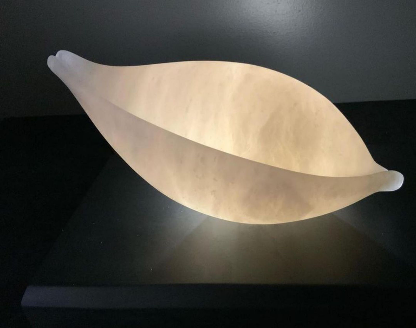 Ray Moseley, Dolphin Cowrie Shell , 2021