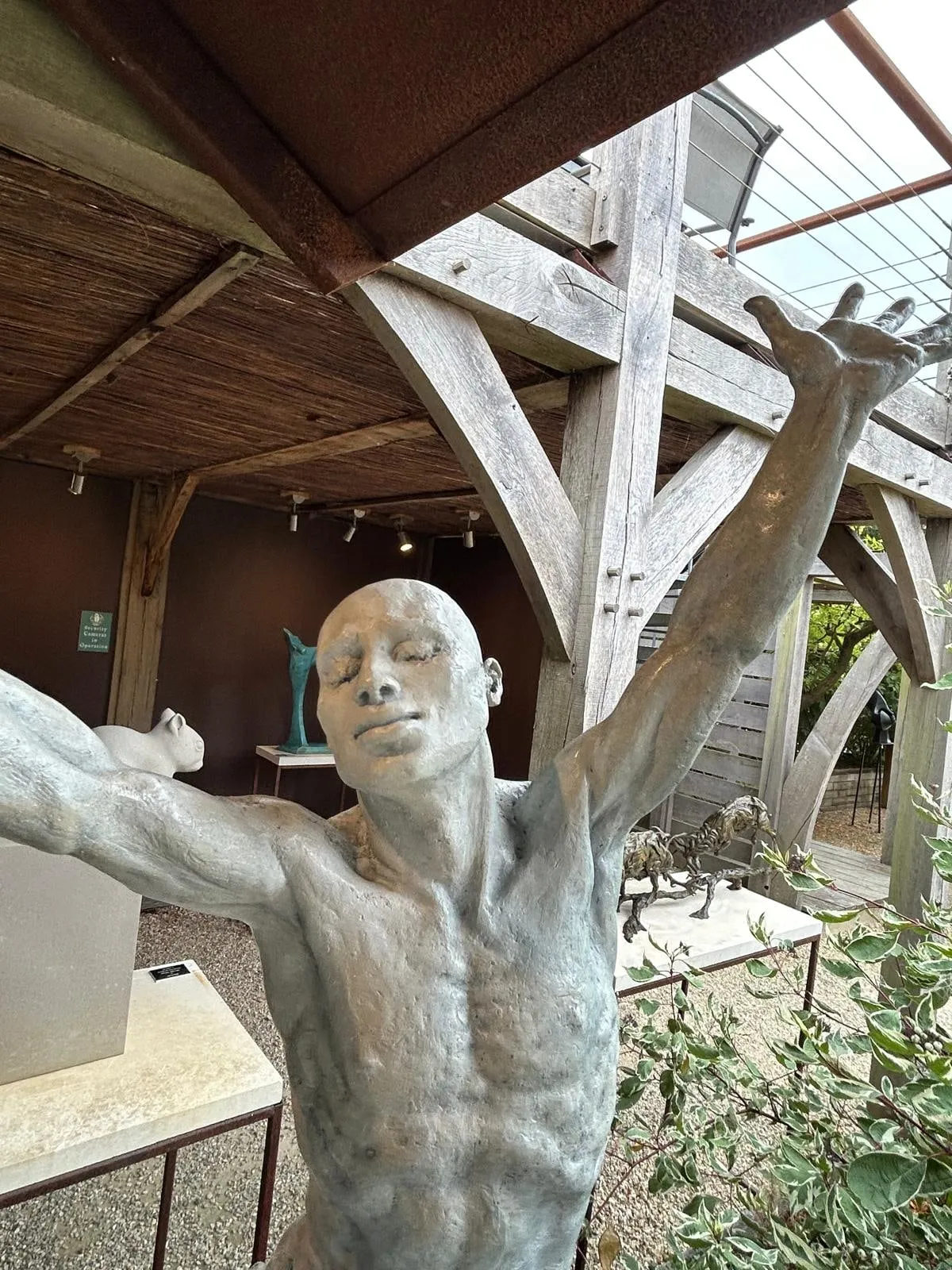 Lucianne Lassalle, Ascension [On the Shoulders of Giants], 2020