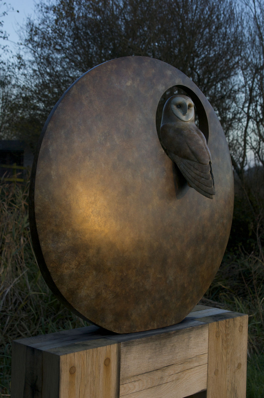 Simon Gudgeon, Barn Owl in Sphere