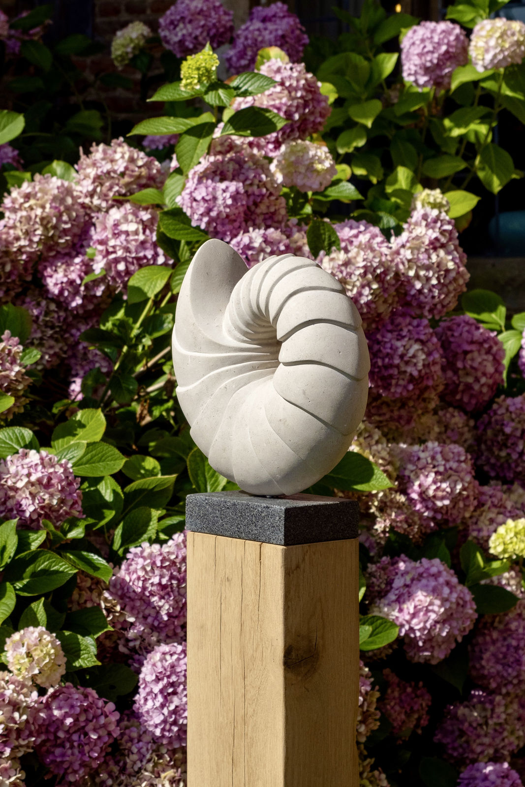 Nicola Axe, Nautilus