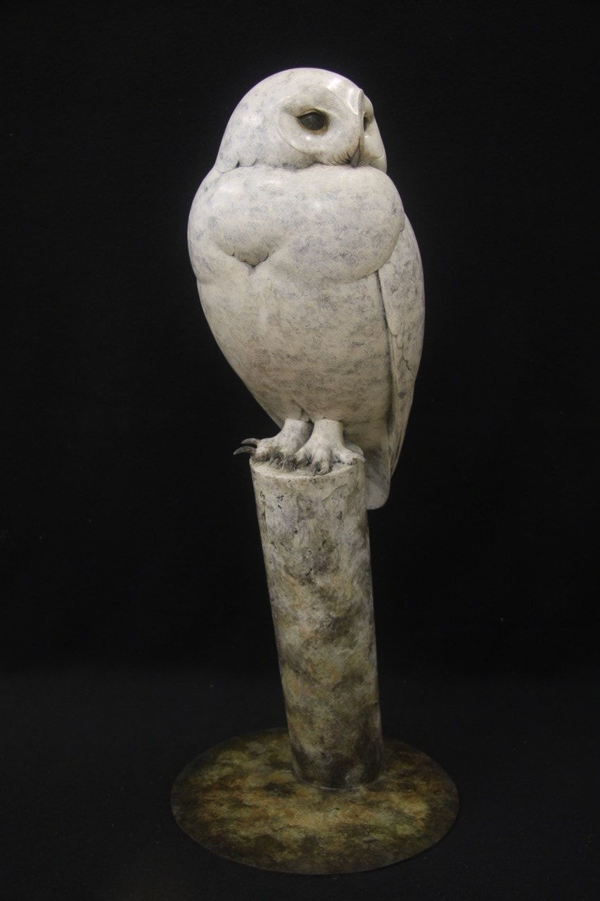 Adam Binder, Snowy Owl, 2023
