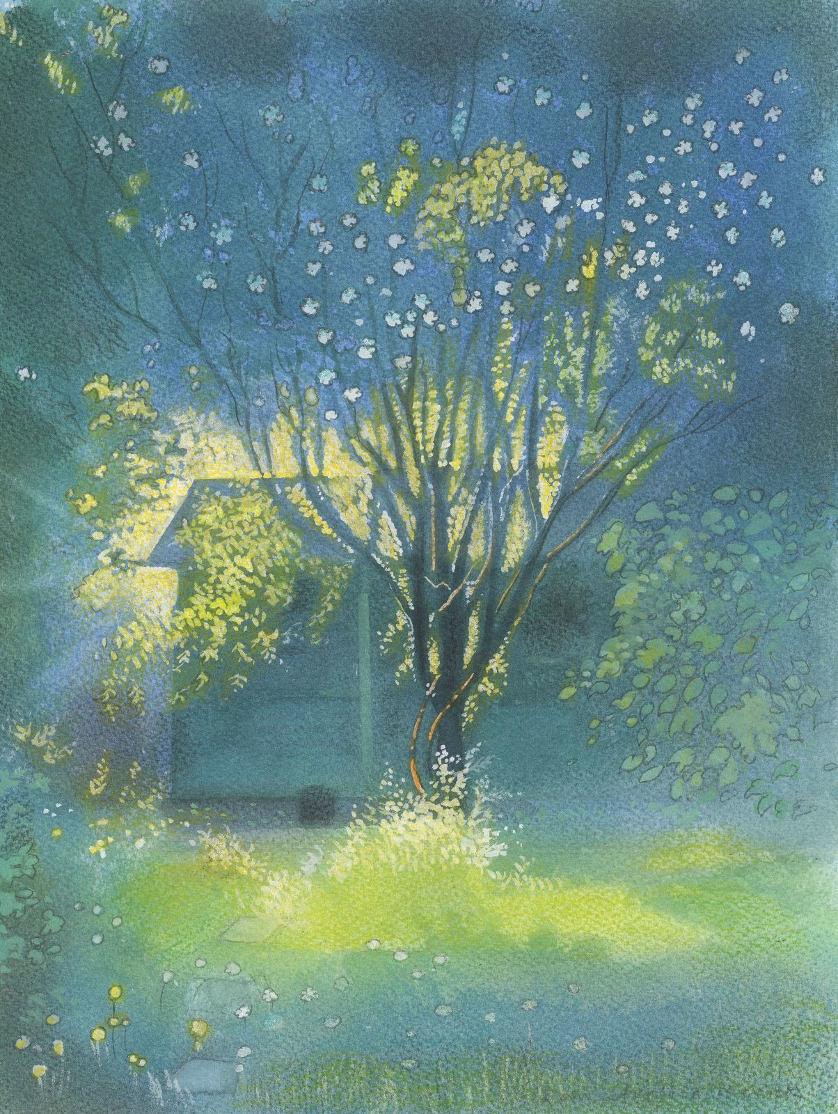 Ian Beck, Climbing Rose