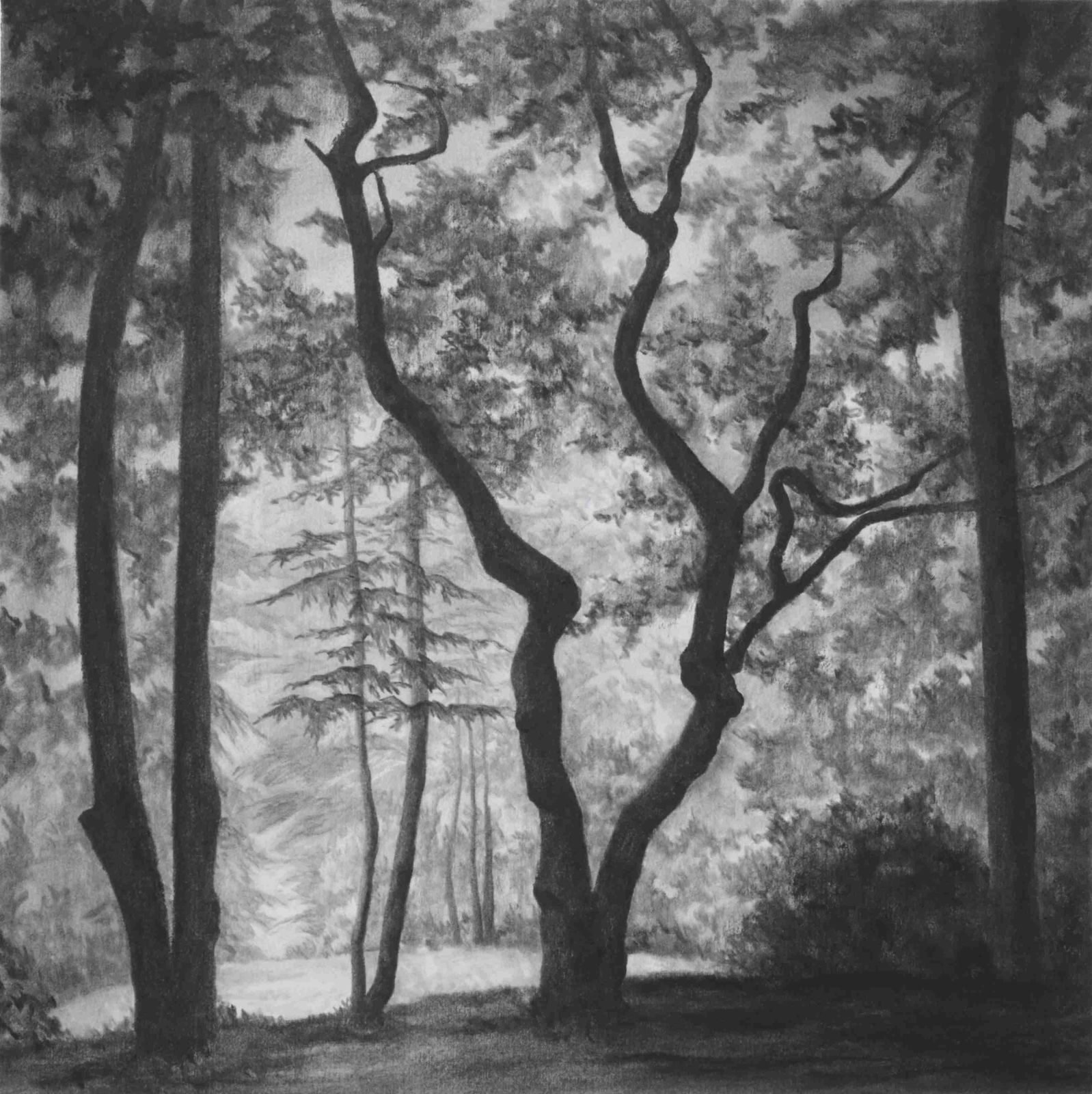 Jemma Appleby, Emery Down #4