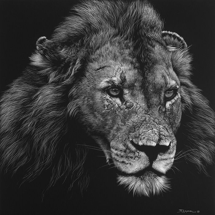 Julie Chapman, Shujaa