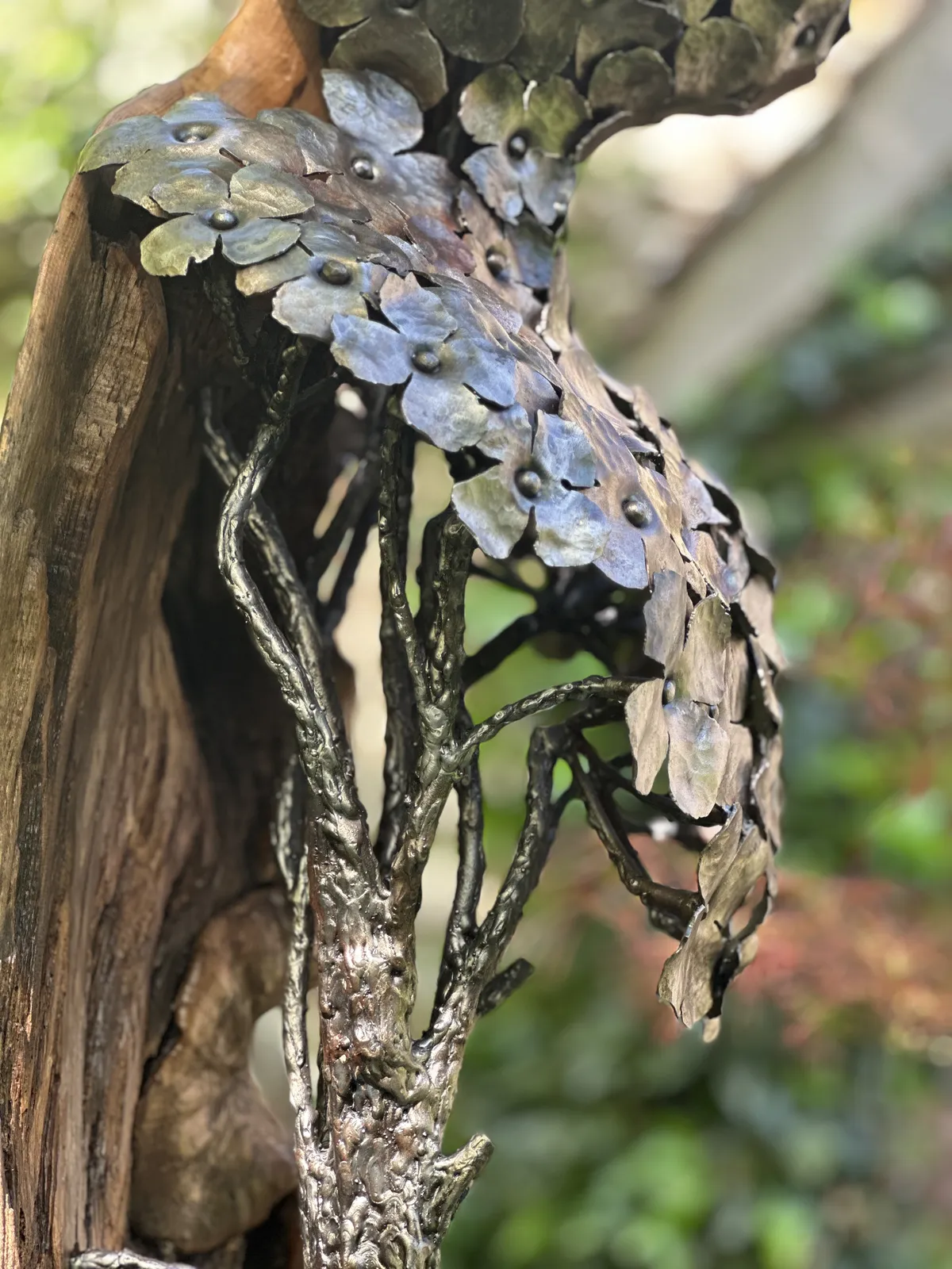 David Cutler, Man of Elm and Flower, 2025