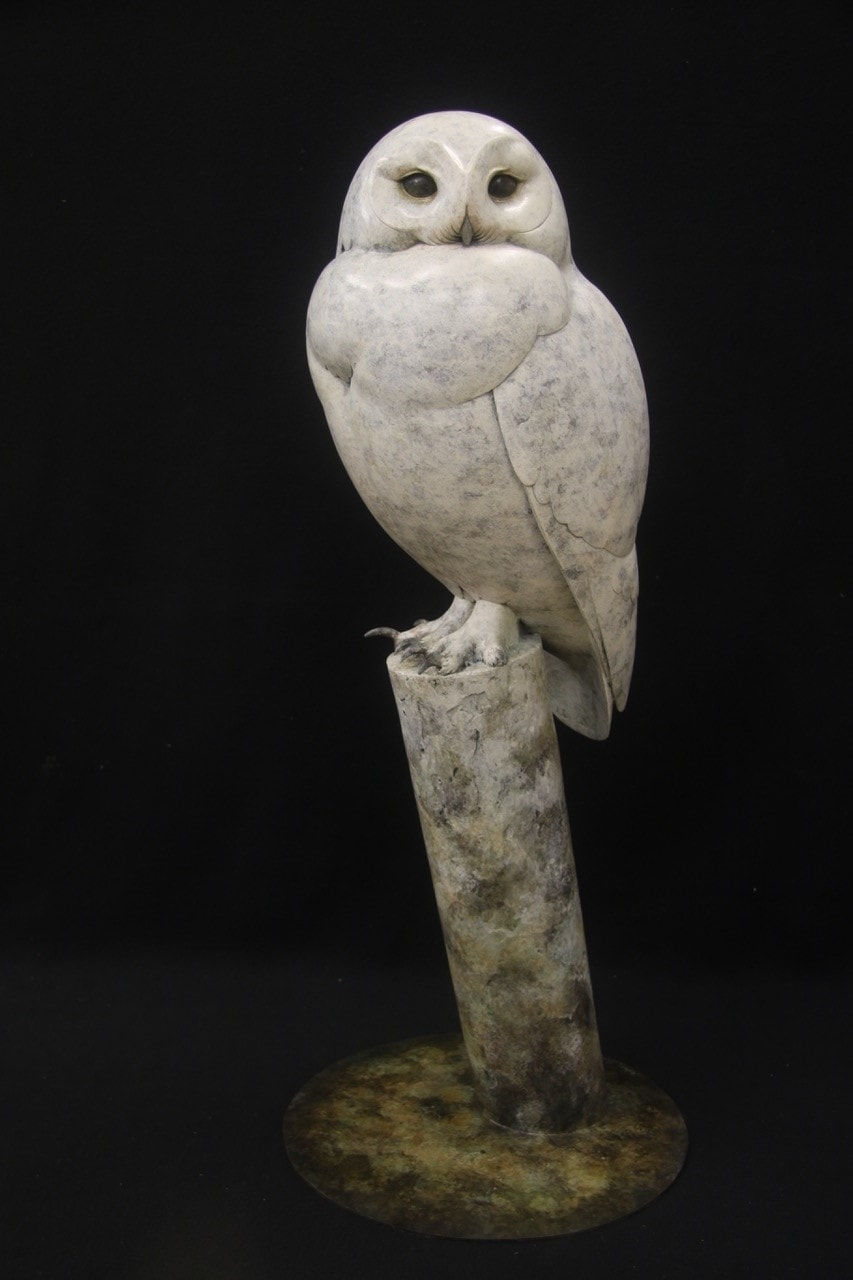 Adam Binder, Snowy Owl, 2023