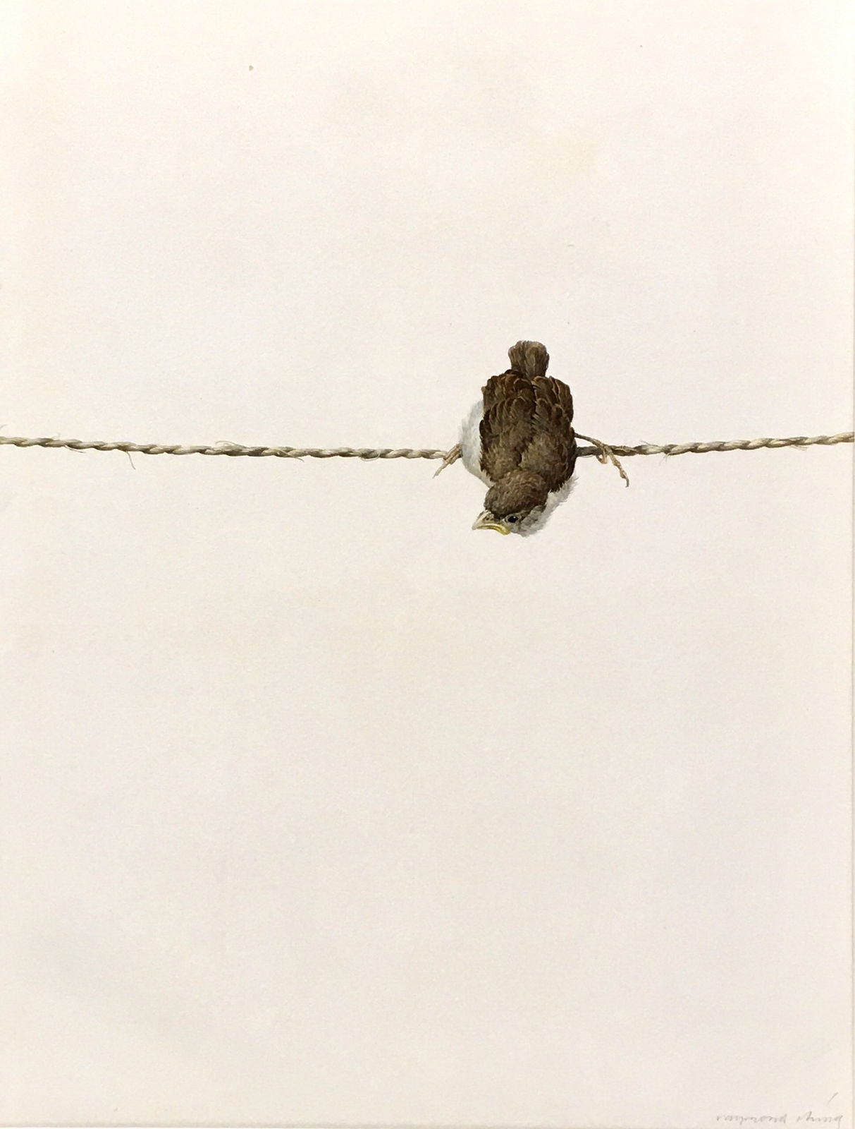 Ray Harris Ching, Fledgling Sparrow [Life Size], 1973