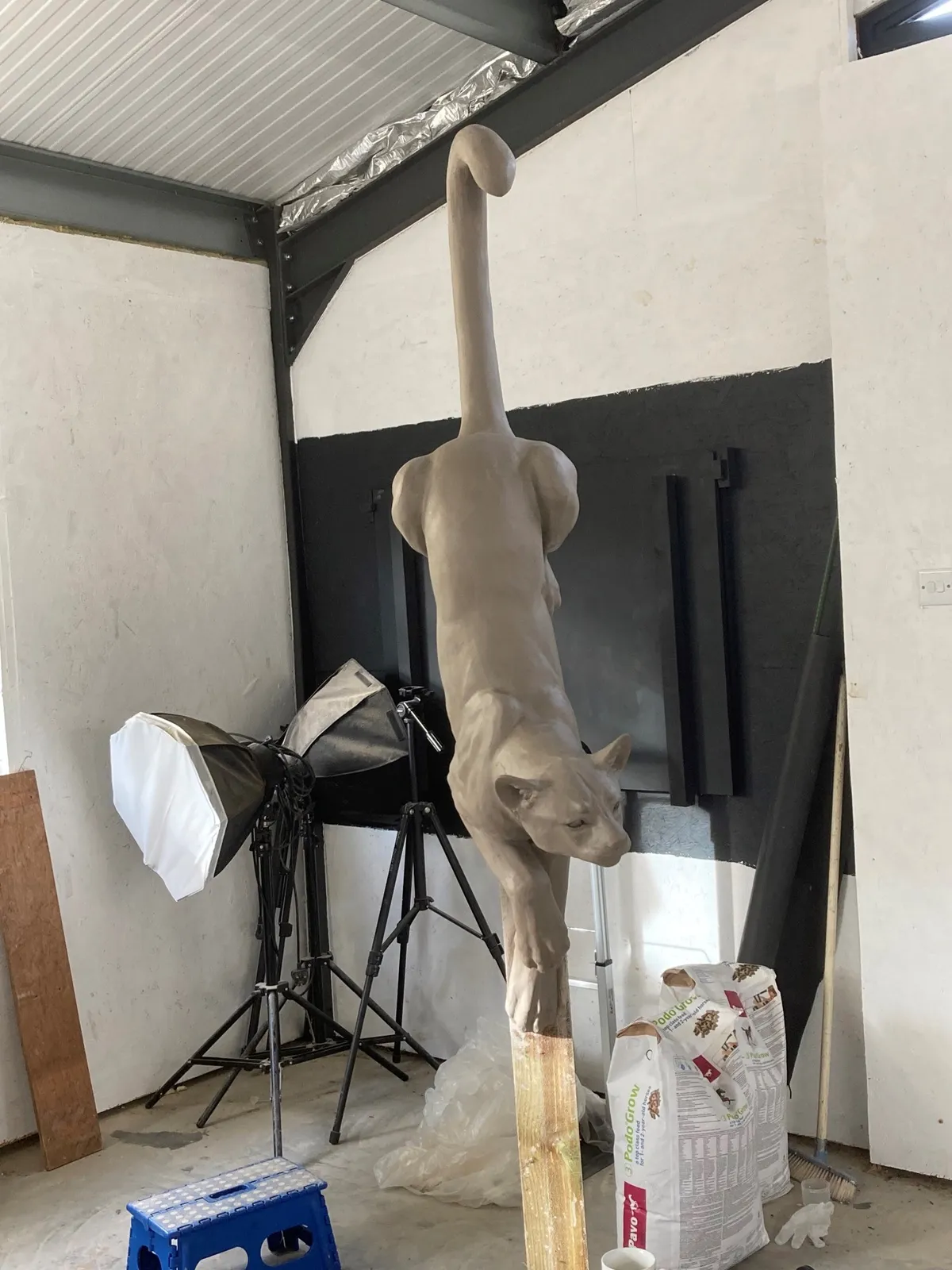 Gill Parker, Puma on Pole