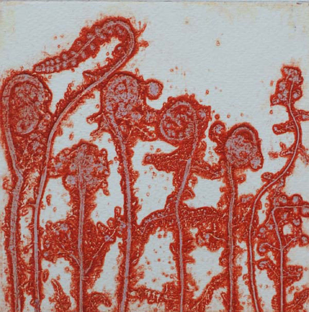 Robin Moorcroft, Fronds