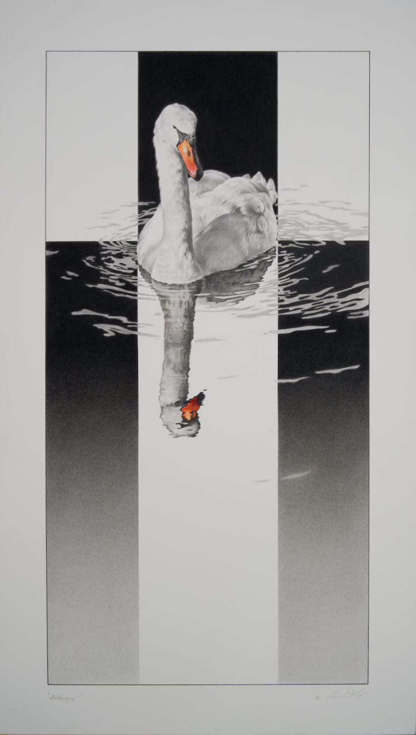 Andrew Denman, Soliloquy [Mute Swan], 2022