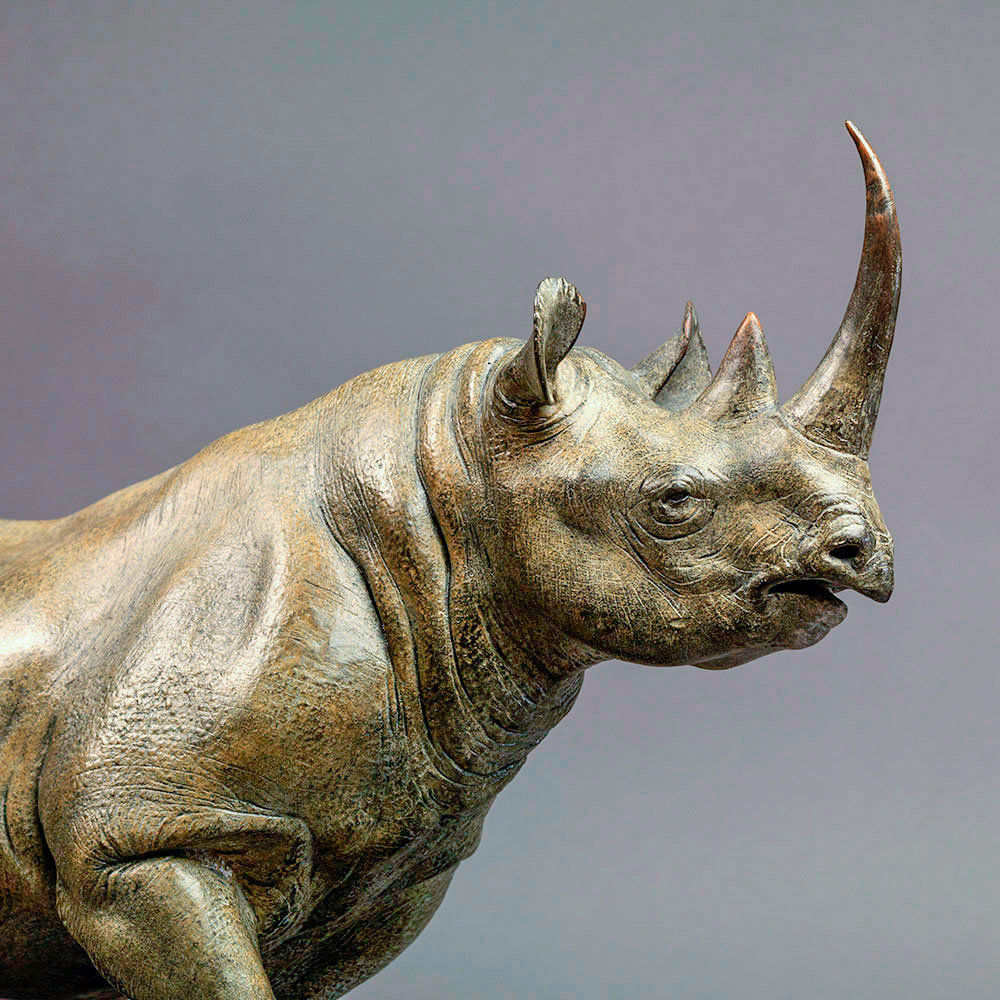 Nick Bibby, Black Rhino