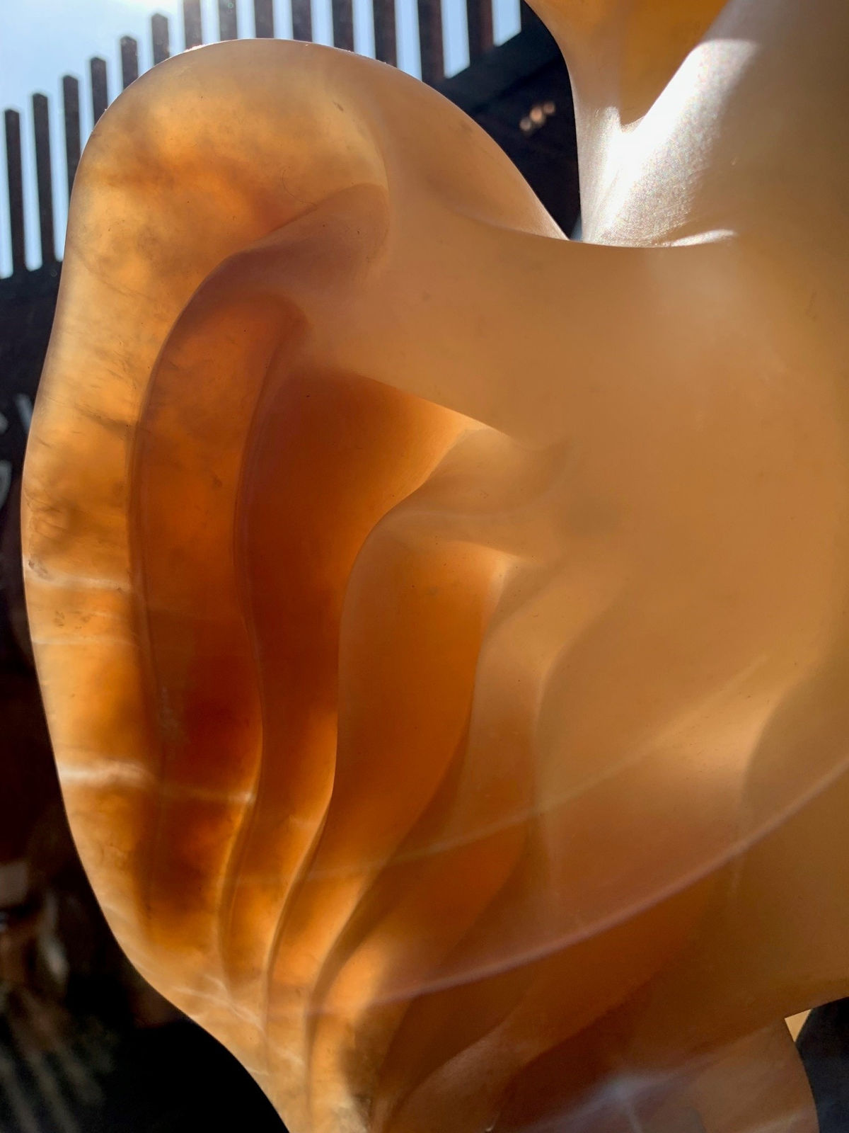 Sasha Constable, Phoenix Rising , 2023