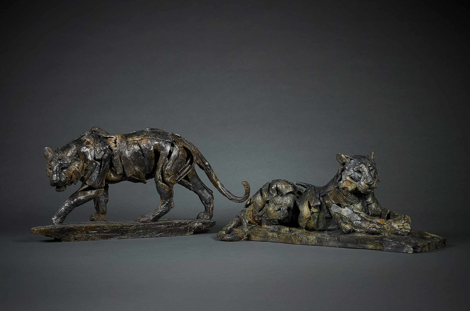 Fred Gordon, Resting Tiger, 2024