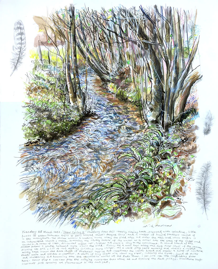 Nick Andrew, Shear Spring , 2021