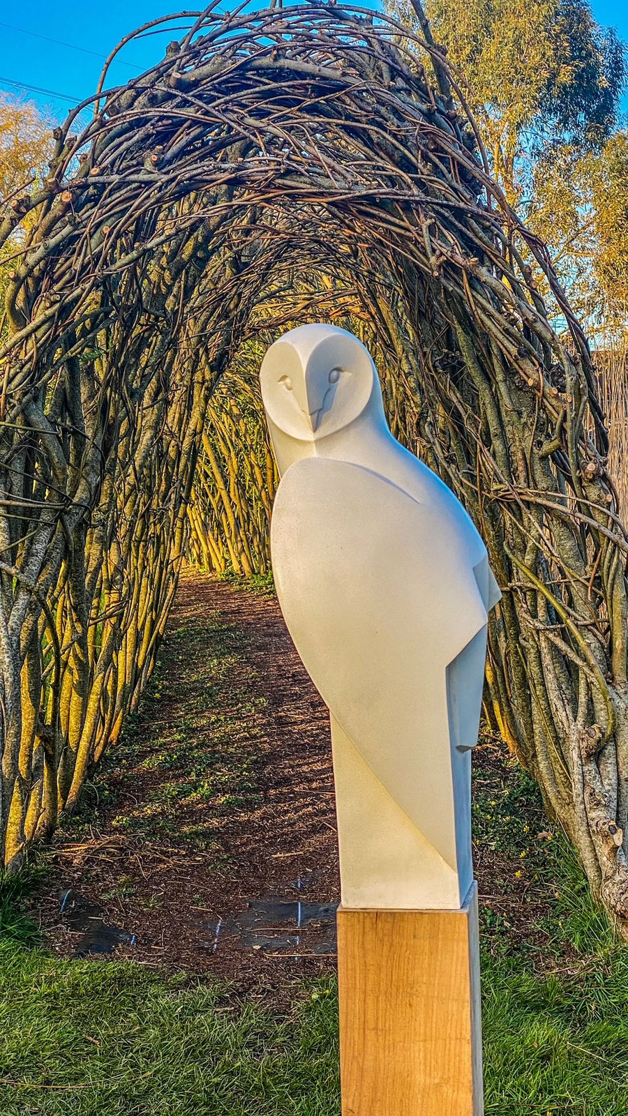 Paul Harvey, Barn Owl Landed, 2023