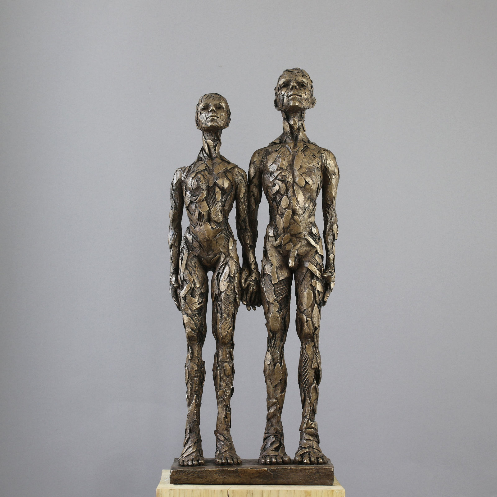 Carol Peace, Allies 2020