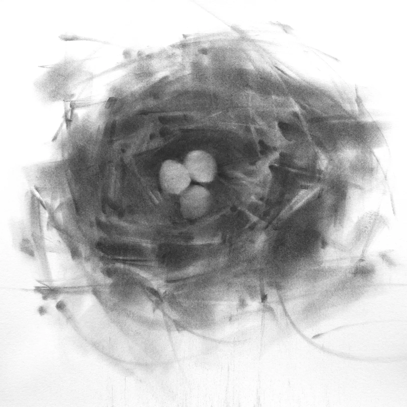 Tianyin Wang, Three in the House, 2021