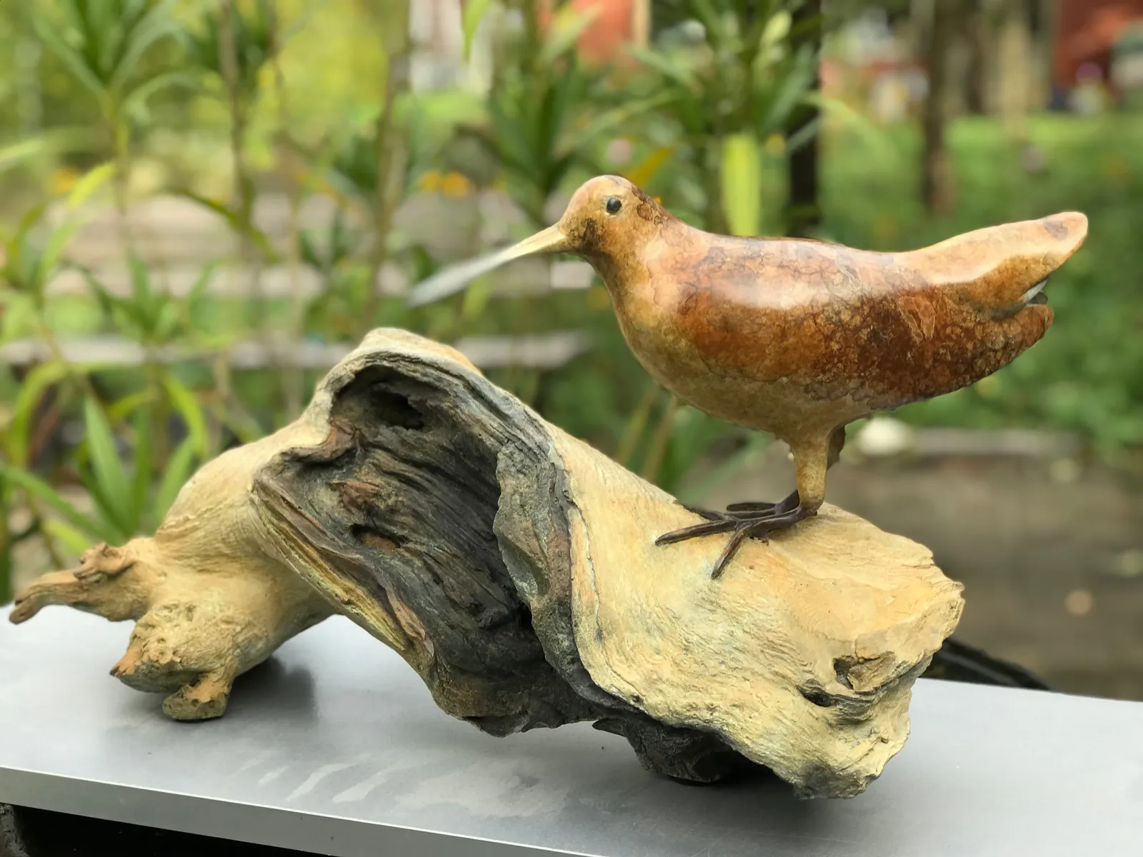 Mark Dedrie, Eurasian Woodcock