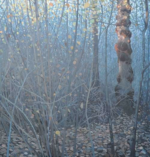 Tom Genders, Grafton Oak