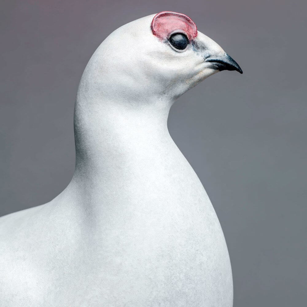 Nick Bibby, Ptarmigan