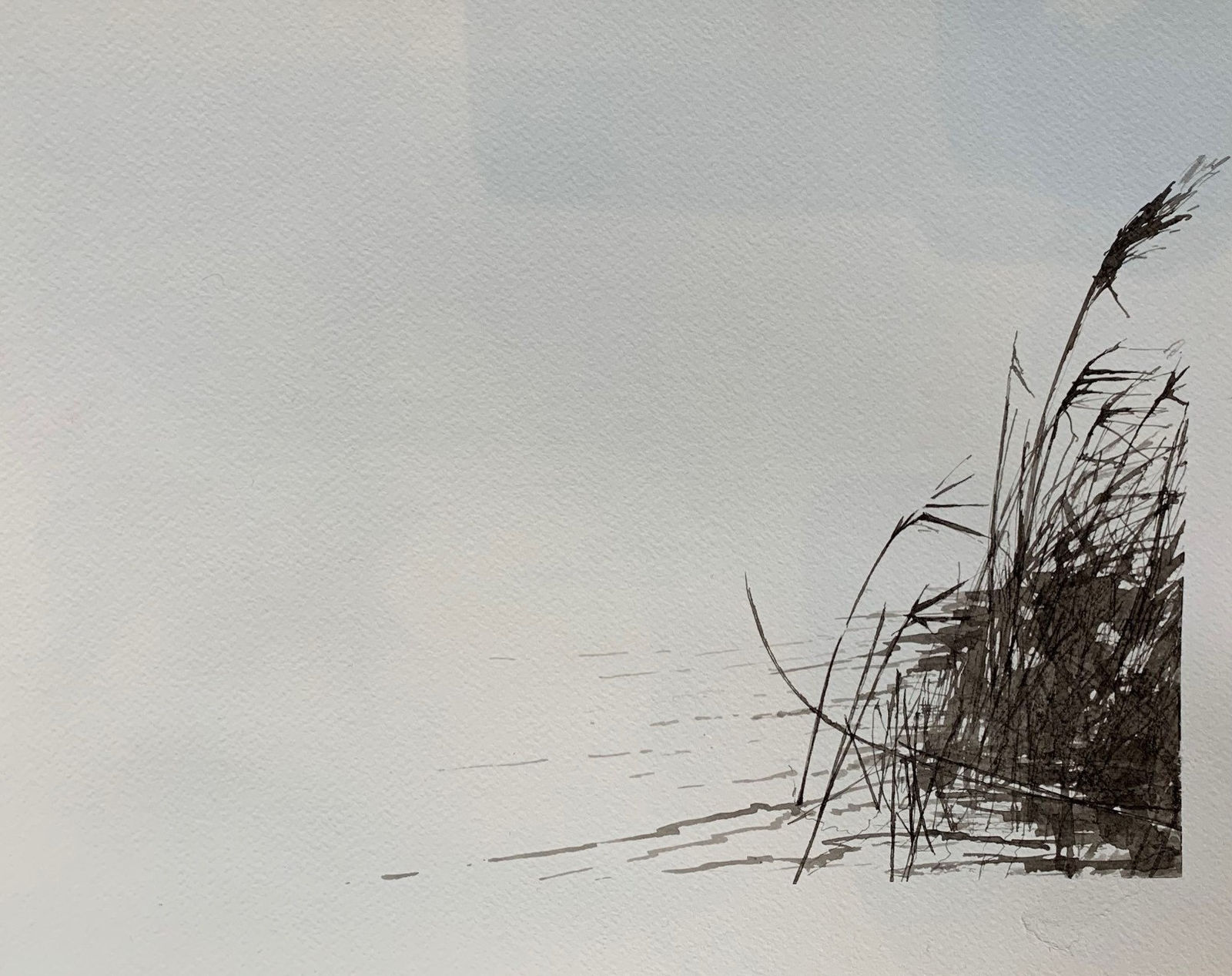 Stephen Bithell, Oak Gall #1, 2022