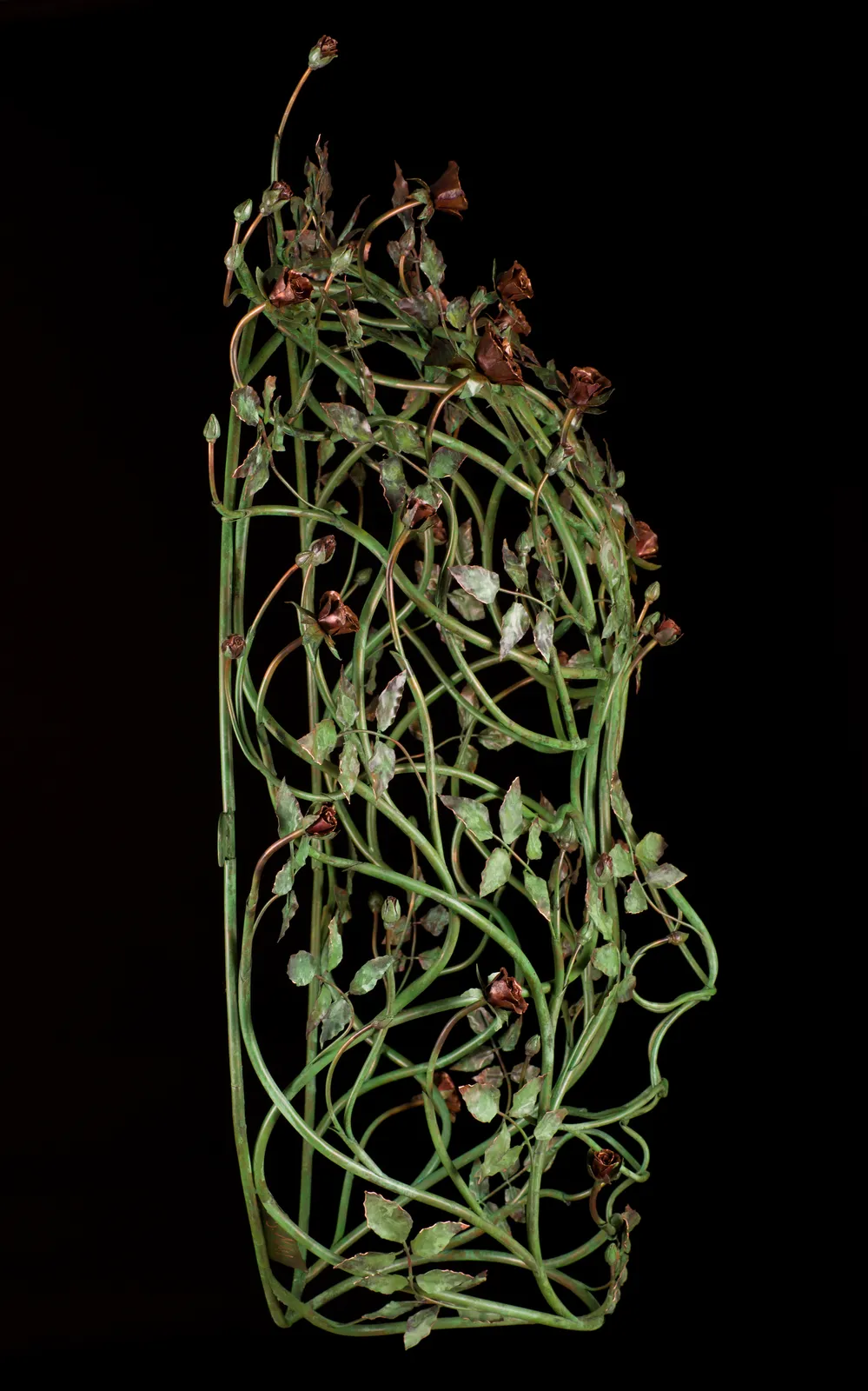 Brendon Murless, Flora