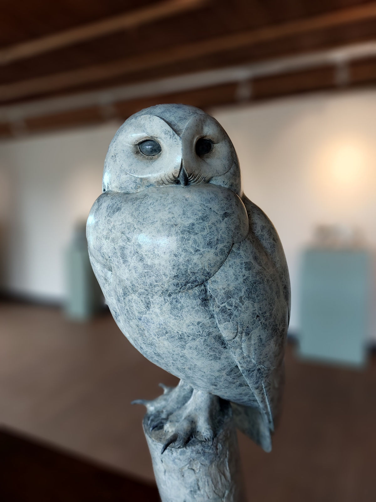 Adam Binder, Snowy Owl, 2023