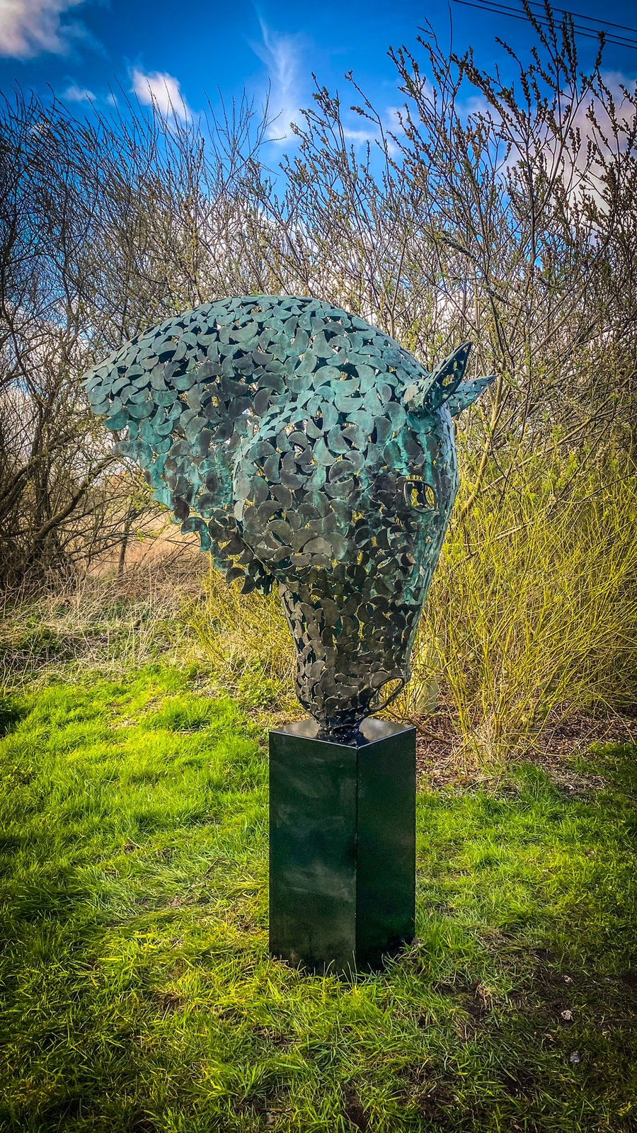 Charles Elliott, Horse Head