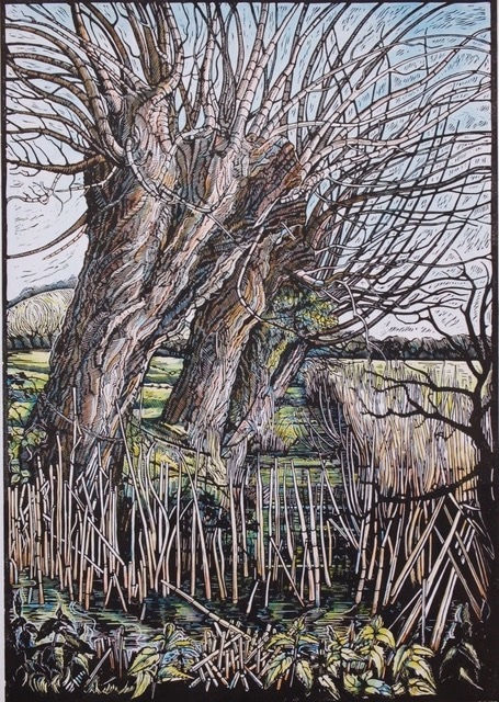 Myrtle Pizzey, Dyke Below Battlebury