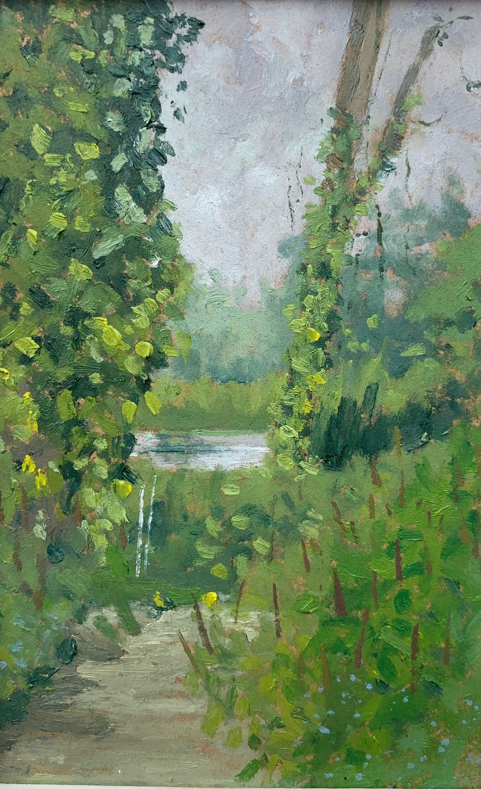 Stephen Bithell, Top of North Lake Glimpse