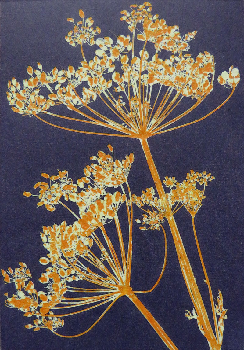 Robin Moorcroft, Curtsy 1