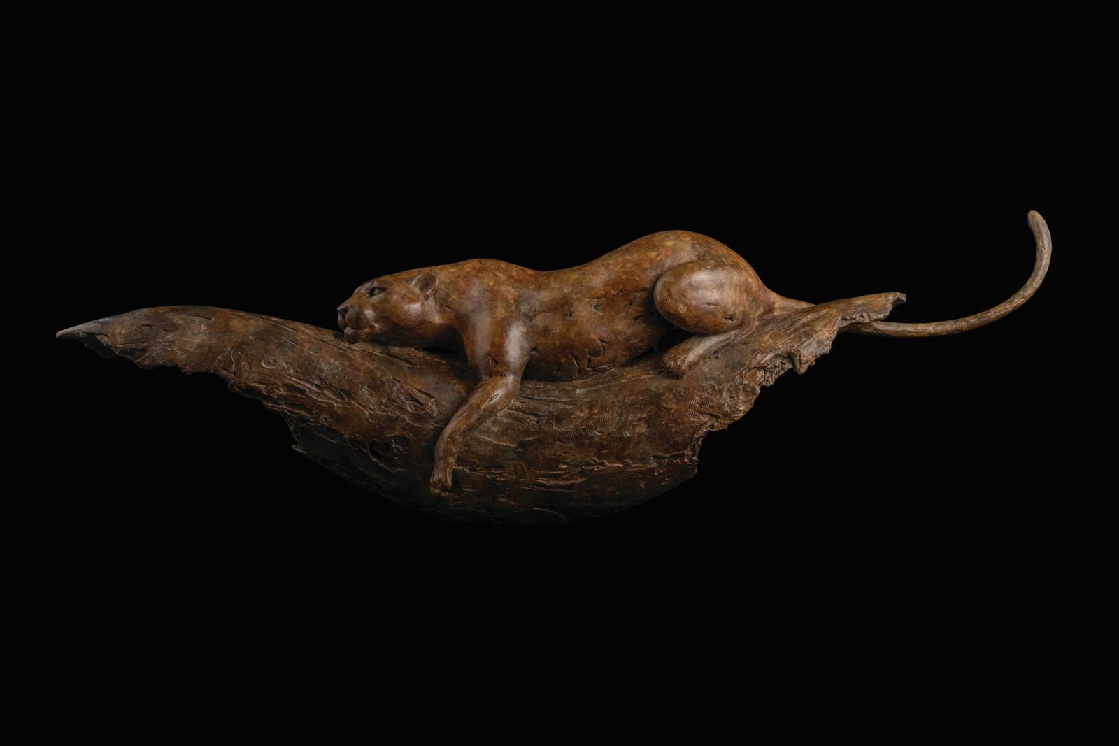 Adam Binder, Lounging Leopard, 2012