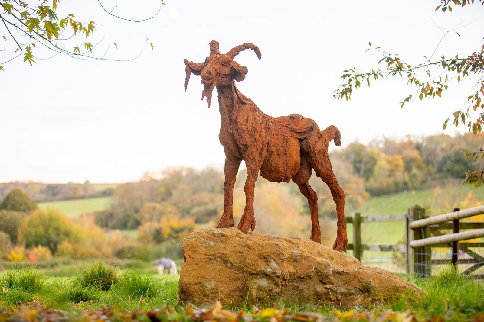 Jane Shaw, Sherlock the Mountain Goat