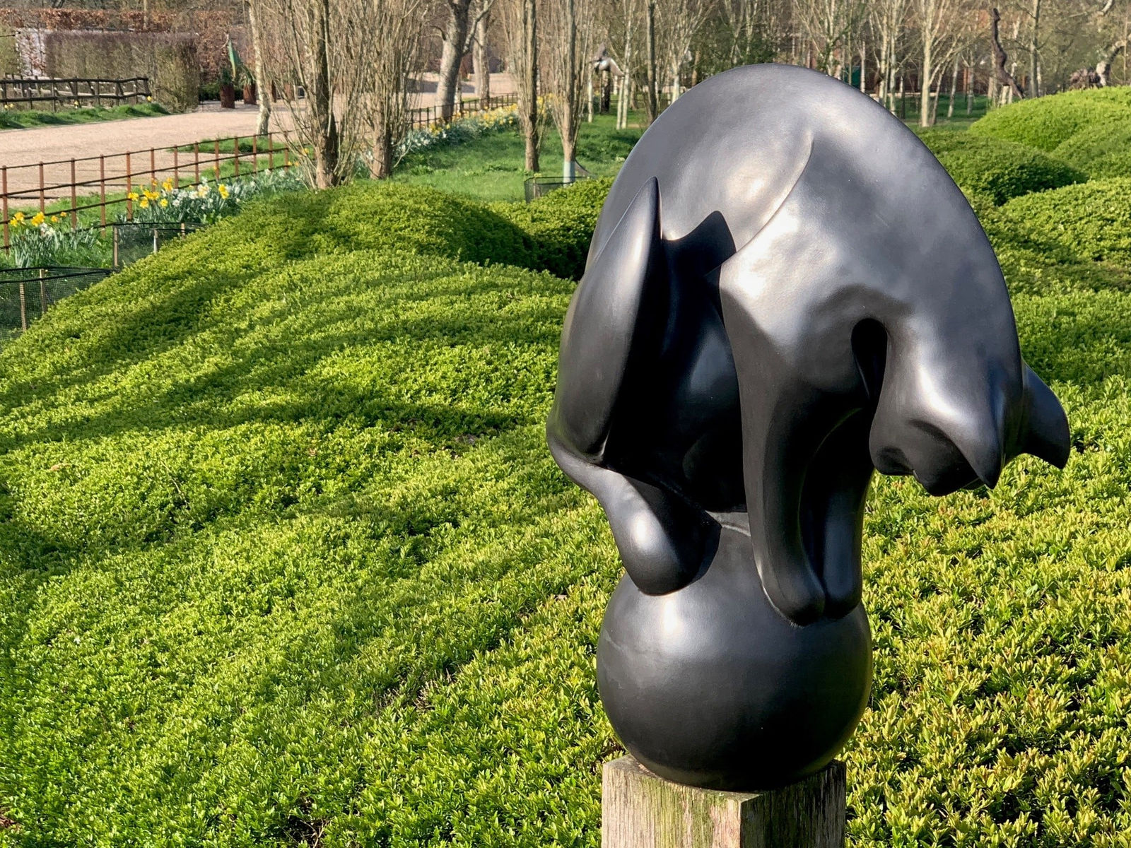 Paul Harvey, Cat on Ball, 2023