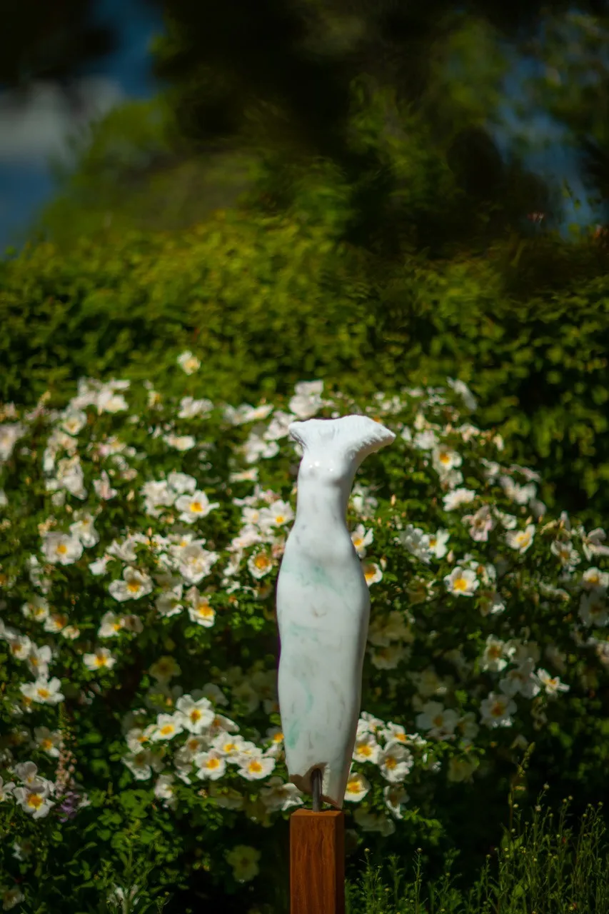 Jonathan Loxley, Zephyr