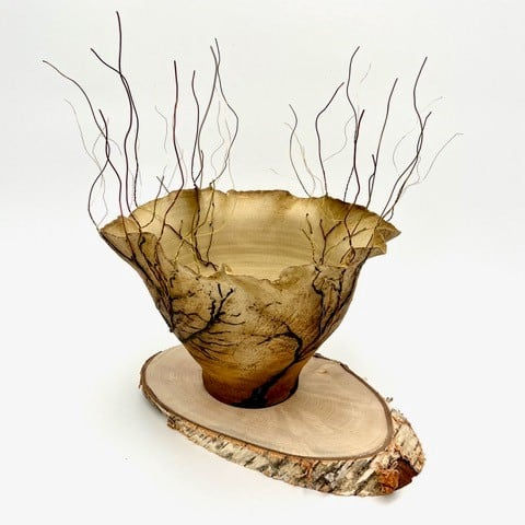 Sonya Wilkins, Open Tree Vessel , 2023