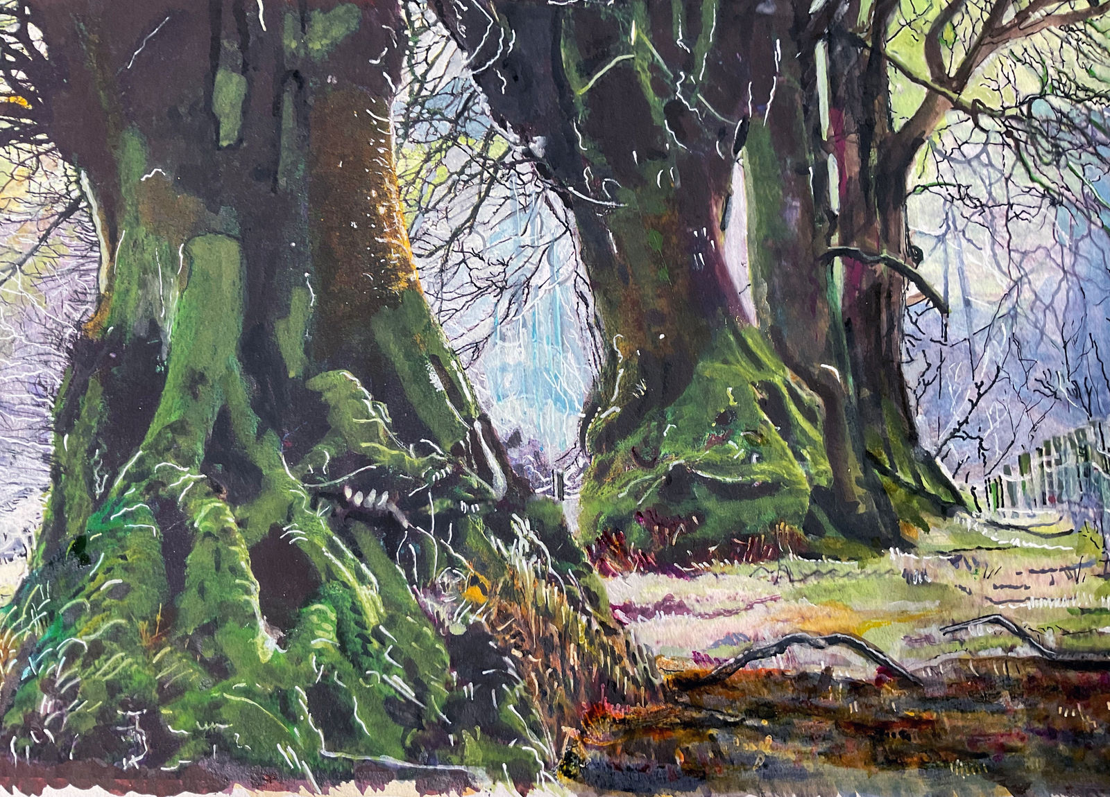 Philippa Beale, Ancient Beech, Cloutsham, Exmoor, 2020