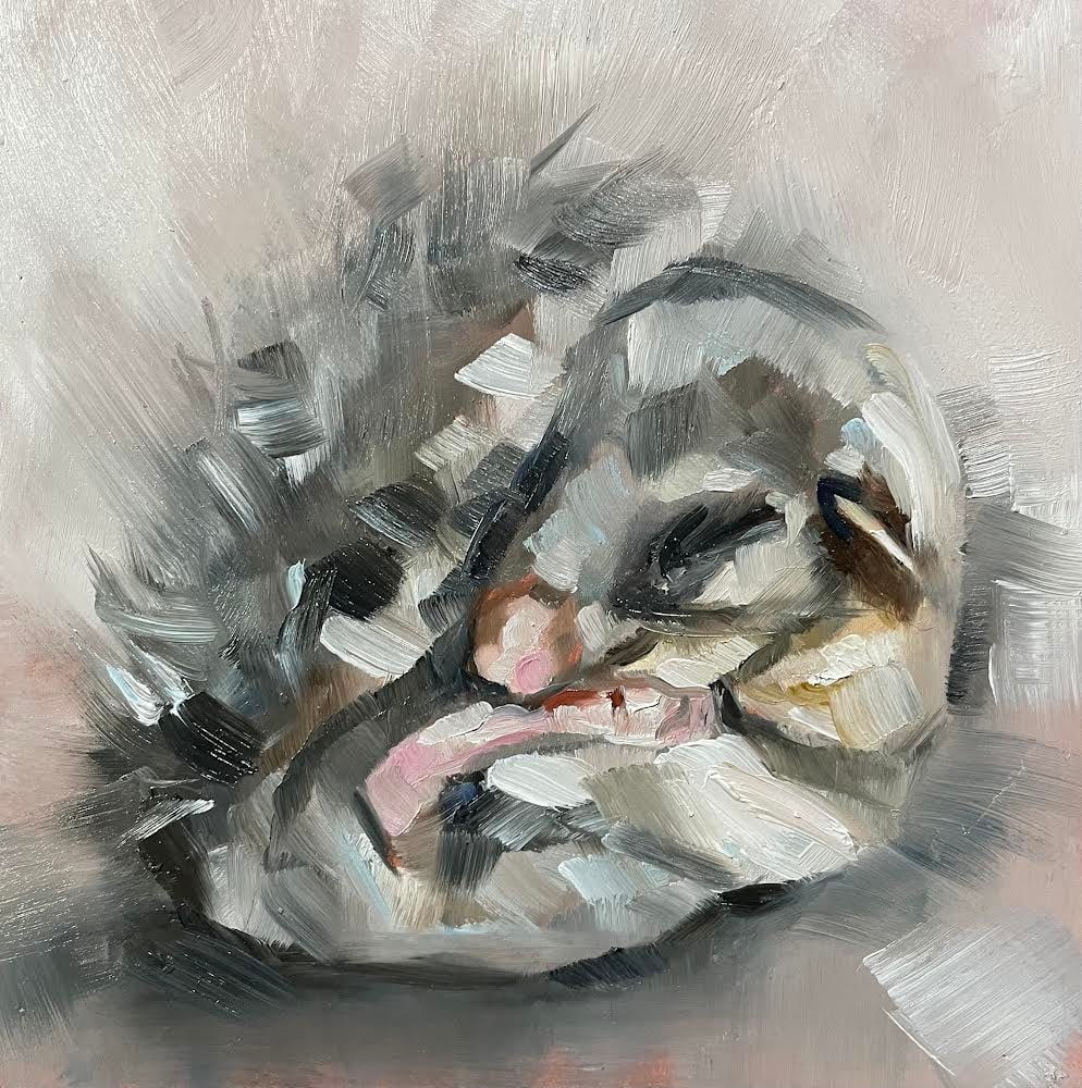 Julie Brunn, Dormouse